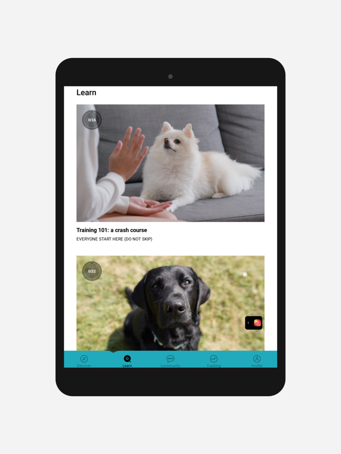 Pawsome Pups Academy