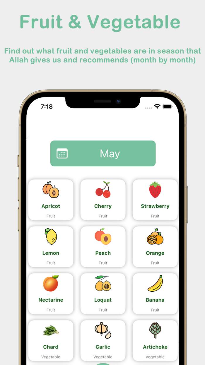 Find Halal food Scanner Haram