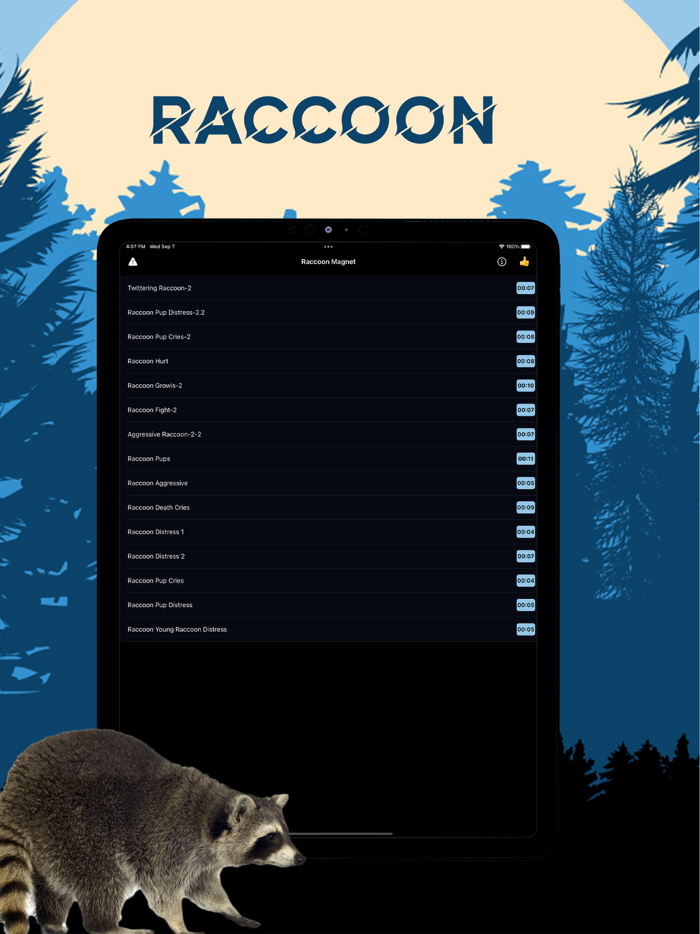 Raccoon Magnet–Raccoon Sounds