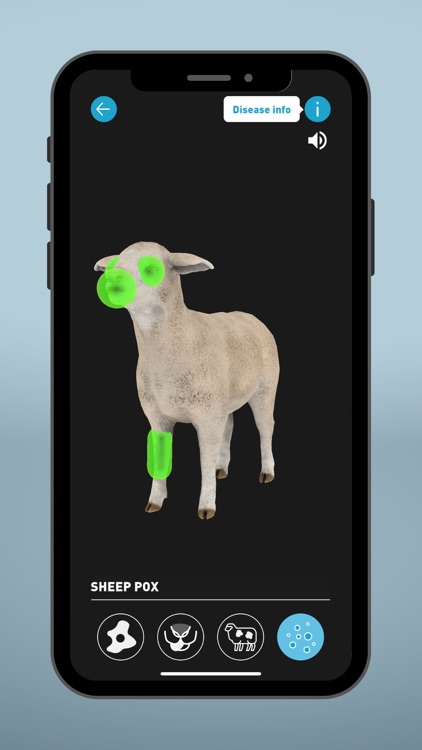 Sheep EAD AR screenshot-7