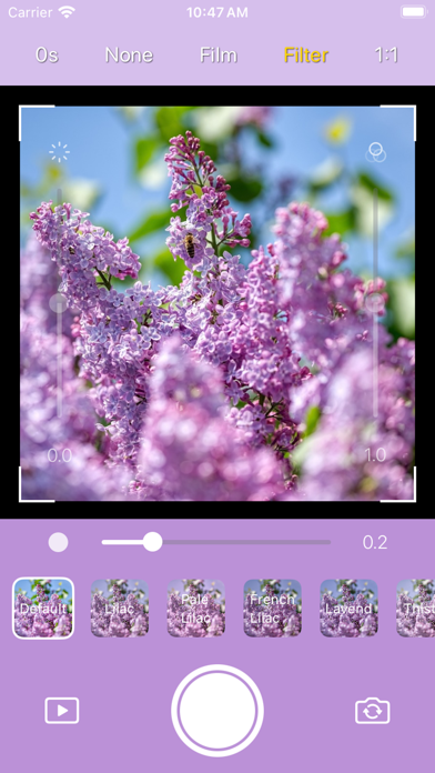 Screenshot #3 pour DICA - Lilac