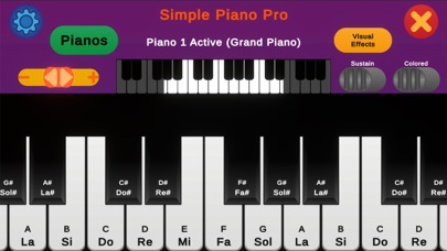 Simple Piano Pro Screenshot