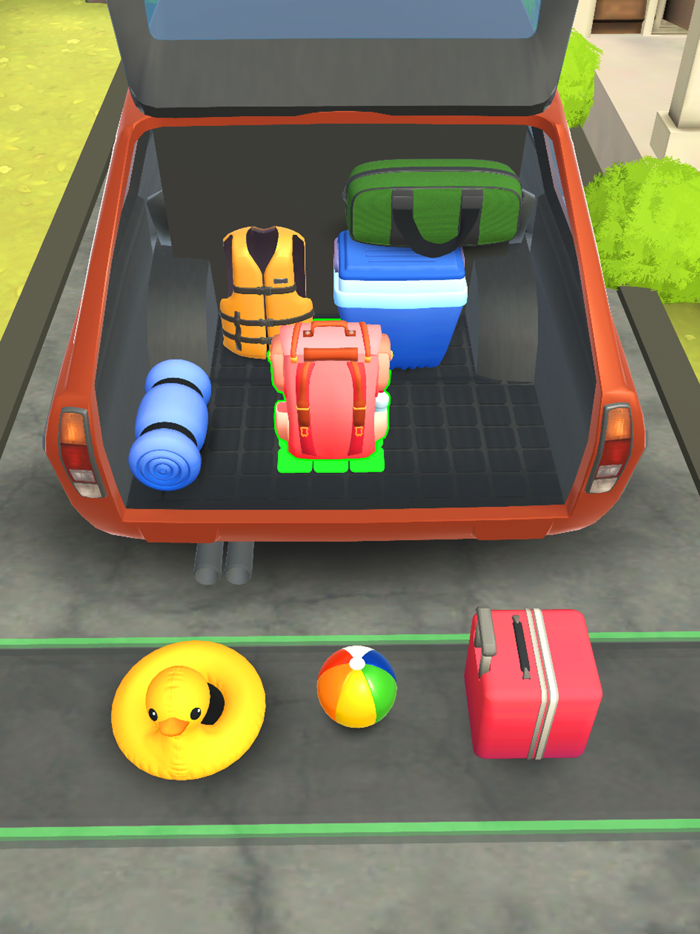 Perfect Fit Luggage Master