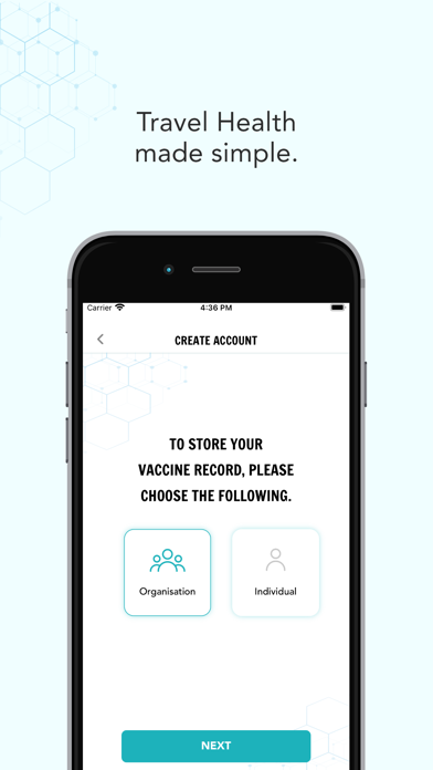 Travel Health Companion Screenshot