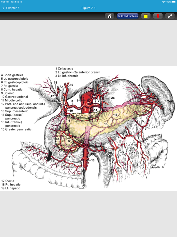 Zollinger Atlas of Surgery 11E iPad screenshot
