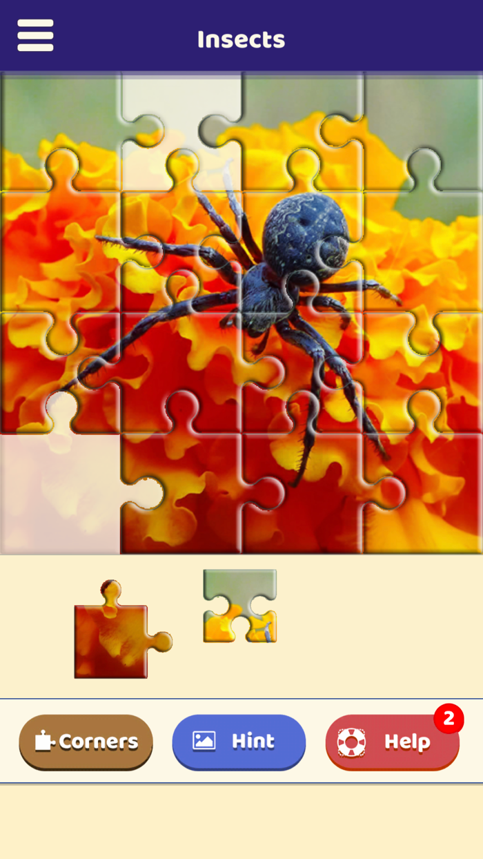 Insect Love Puzzle