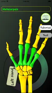 hand bones: speed anatomy quiz iphone screenshot 1