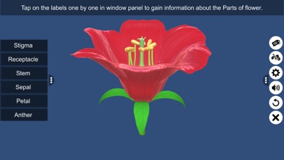 Screenshot #2 pour Parts of Flower