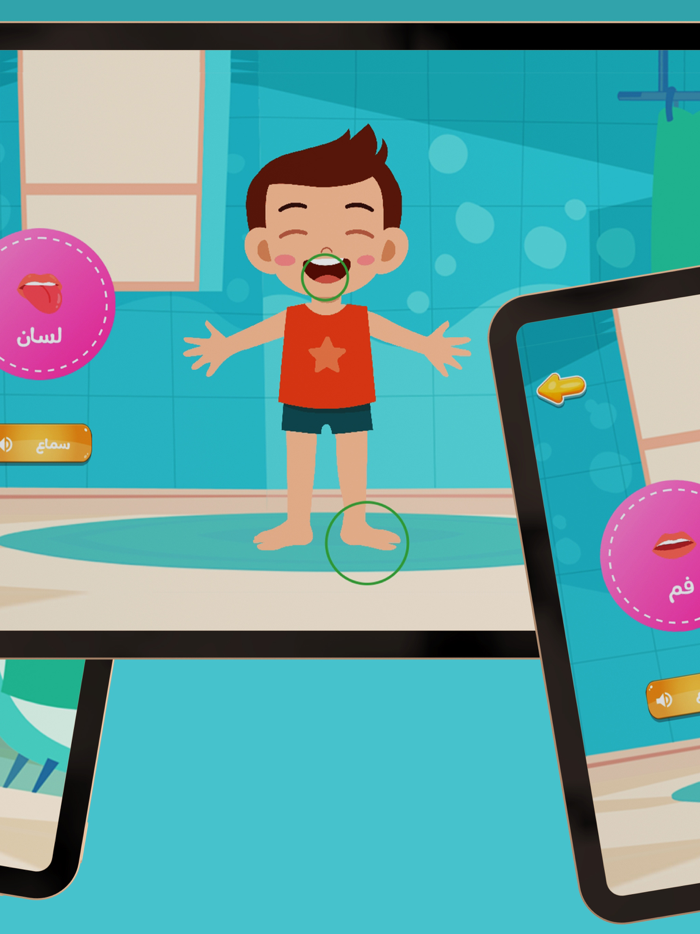 أجزاء جسم الانسان