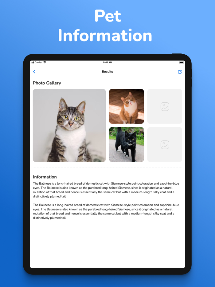 Cat Breed Identifier Pet Scan