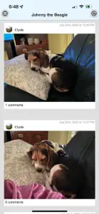 Johnny the Beagle screenshot #2 for iPhone