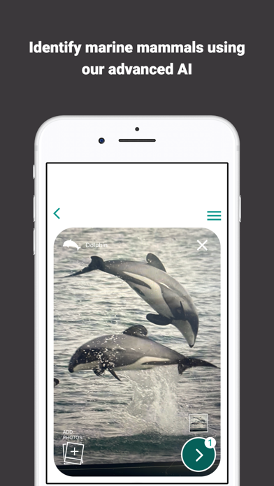 SeaSpotter Screenshot