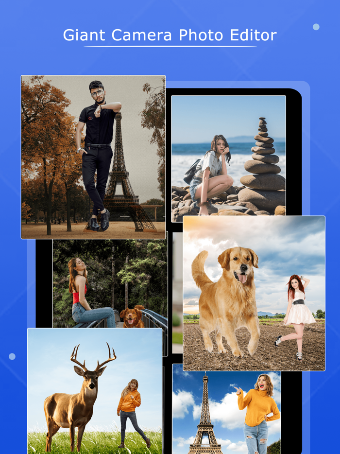 Big Camera -Giant Camera Photo