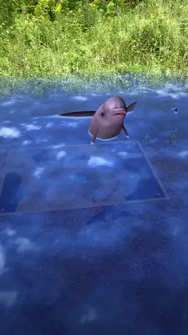 Game screenshot Ocean Week Canada hack