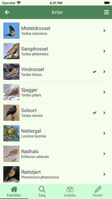 Fuglesang i haven Screenshot