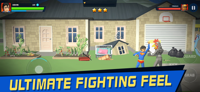 Street Fighter Hero-City Gangs