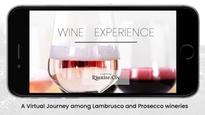 Wine Experience Screenshot