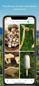 Mushroom Identificator screenshot #3 for iPhone