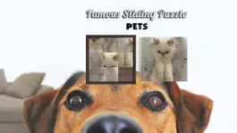 Game screenshot Famous Sliding Puzzle: Pets mod apk
