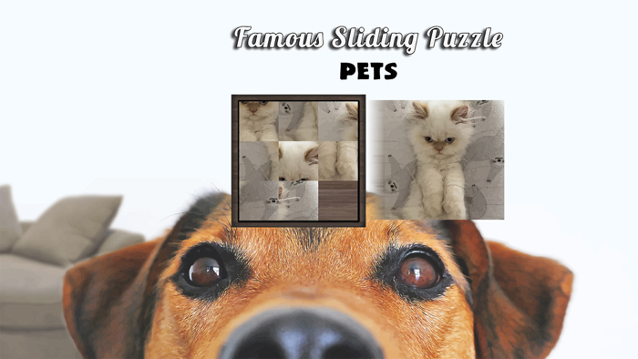 Famous Sliding Puzzle Pets