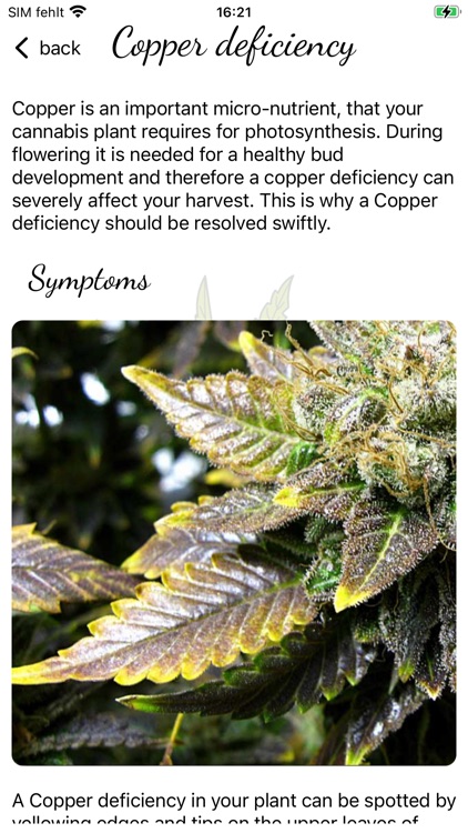 GrowCush screenshot-8