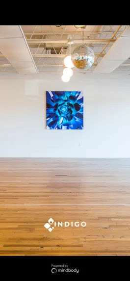 Game screenshot My Indigo Yoga mod apk