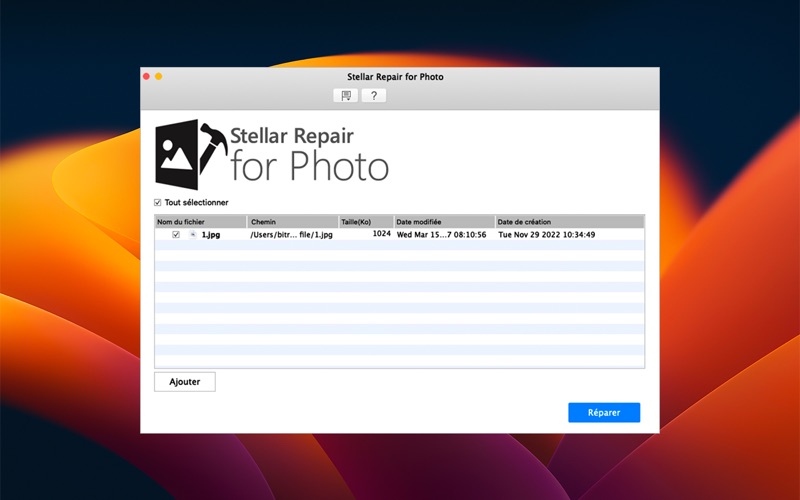 Screenshot #3 pour Stellar Repair for Photo