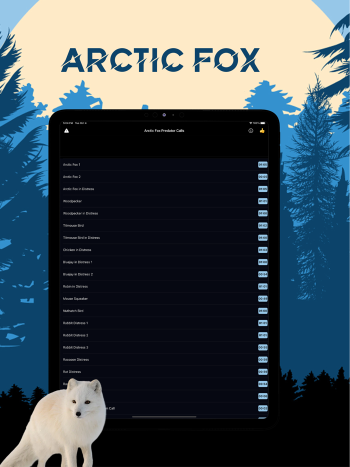 Arctic Fox Magnet