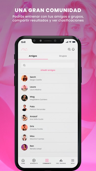 ANS Screenshot