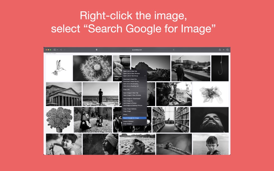 #1. ImageSearch for Safari (macOS) Podle: Adil Erchouk