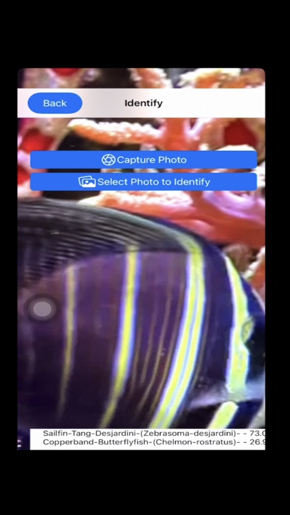 AI Reef Cam screenshot-7