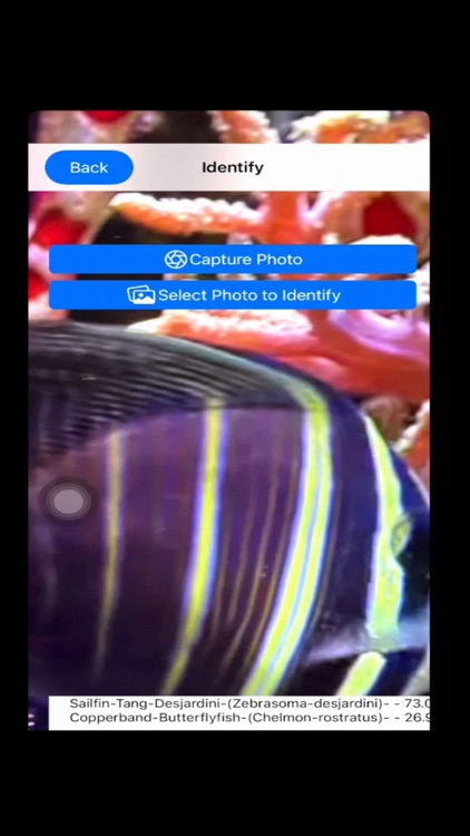 AI Reef Cam screenshot-7
