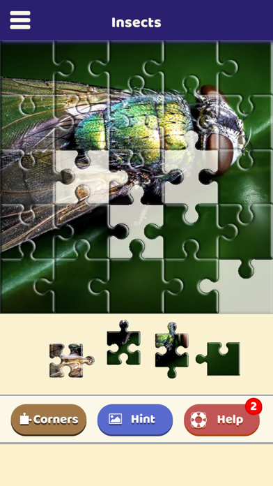 Insect Love Puzzle Screenshot