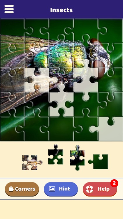 Insect Love Puzzle screenshot-3
