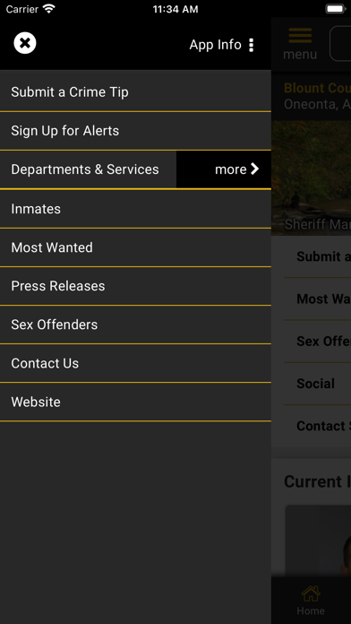 Blount County AL Sheriff Screenshot