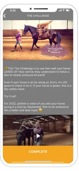 Game screenshot Horsemanship Insider apk