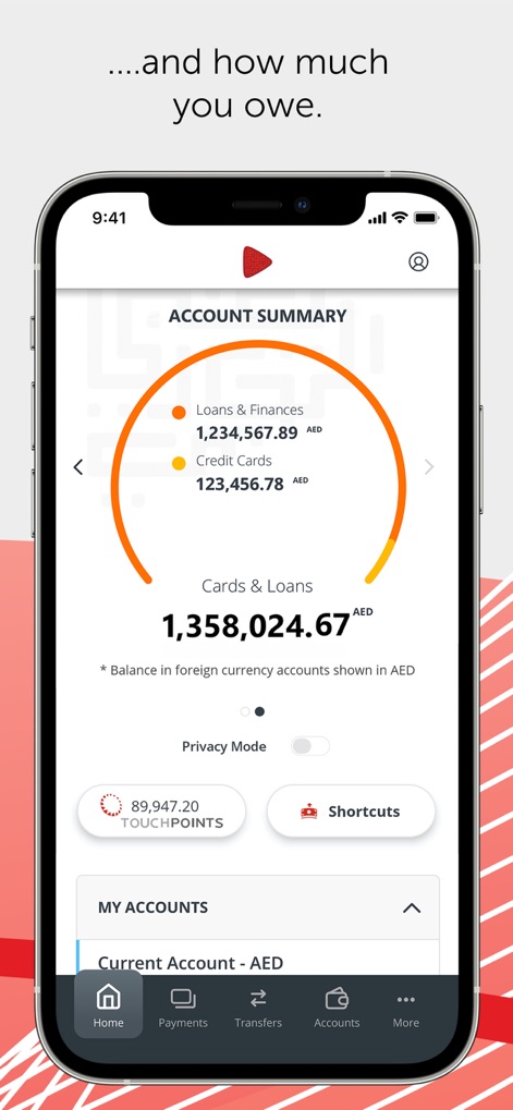 ADCB - Diese Darstellung bietet eine Übersicht der Kredite und Darlehen des Nutzers, illustriert durch ein Farbcodiertes Kreisdiagramm und die Gesamtverschuldung in AED.