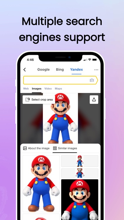 Search By Image: Multi Engines screenshot-3