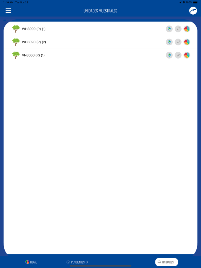 Seguimiento SEO Birdlife