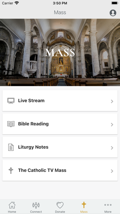 St. Thomas Aquinas Avondale Screenshot