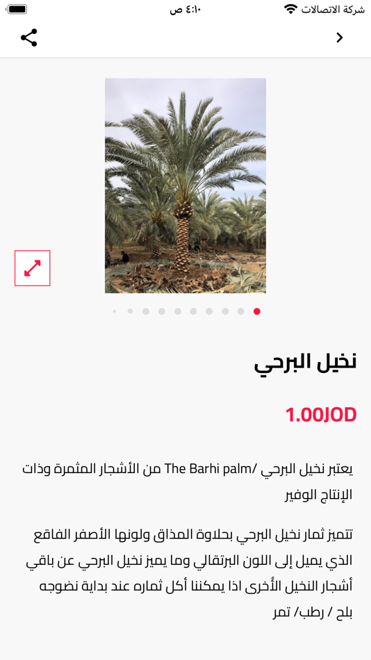 #2. Palm Land Jo (iOS) 由: Storax-inc