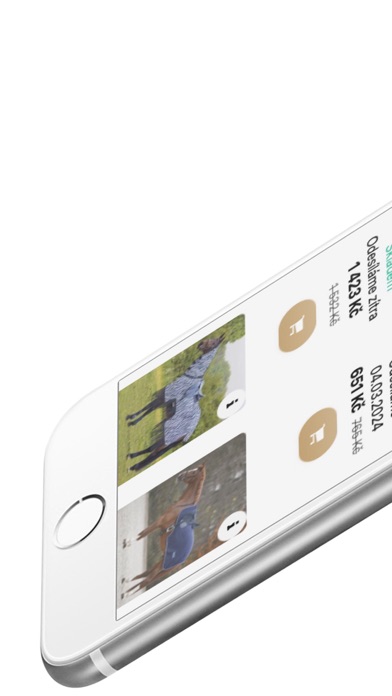 Screenshot #2 pour Aurashop