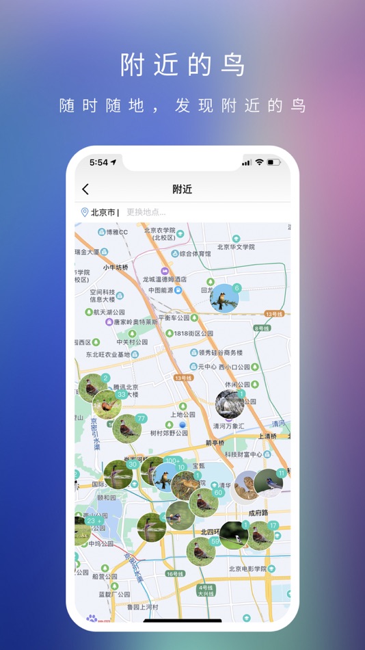 #5. 爱鸟国际 (iOS) Podle: 北京爱鸟国际文化传播有限公司