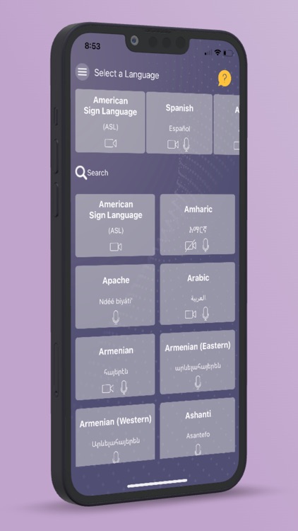 CyraCom Interpreter