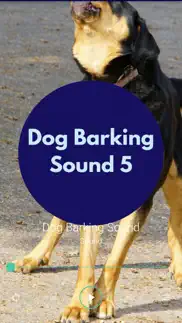 dog barking sounds problems & solutions and troubleshooting guide - 1