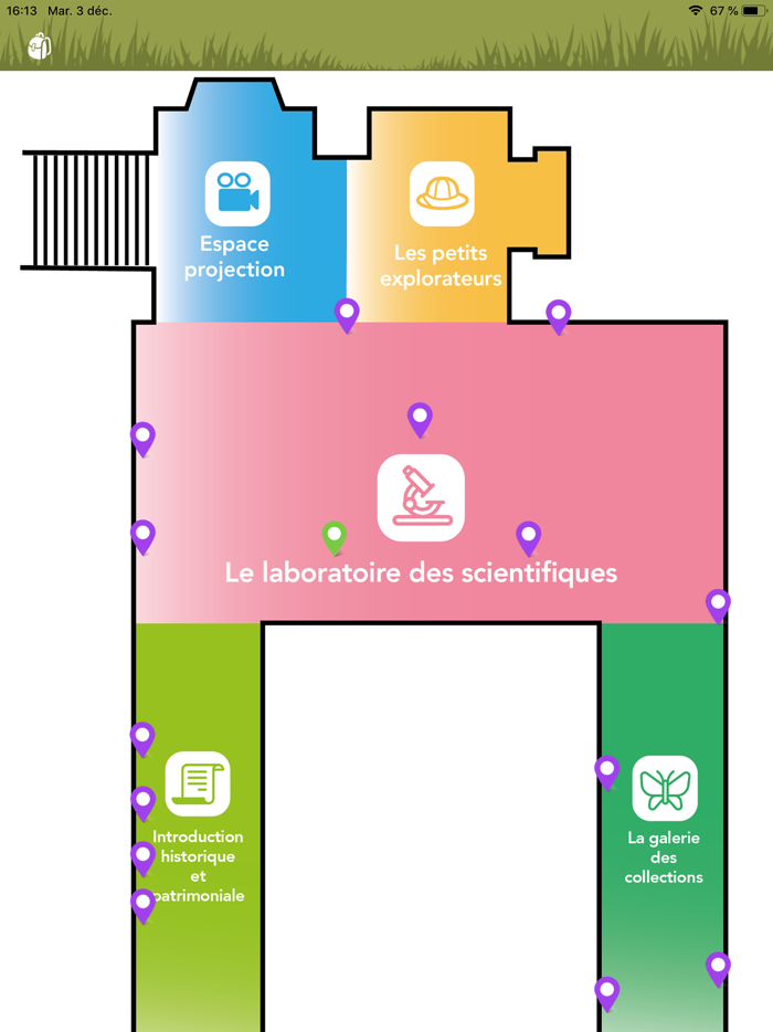 Méline au musée des papillons