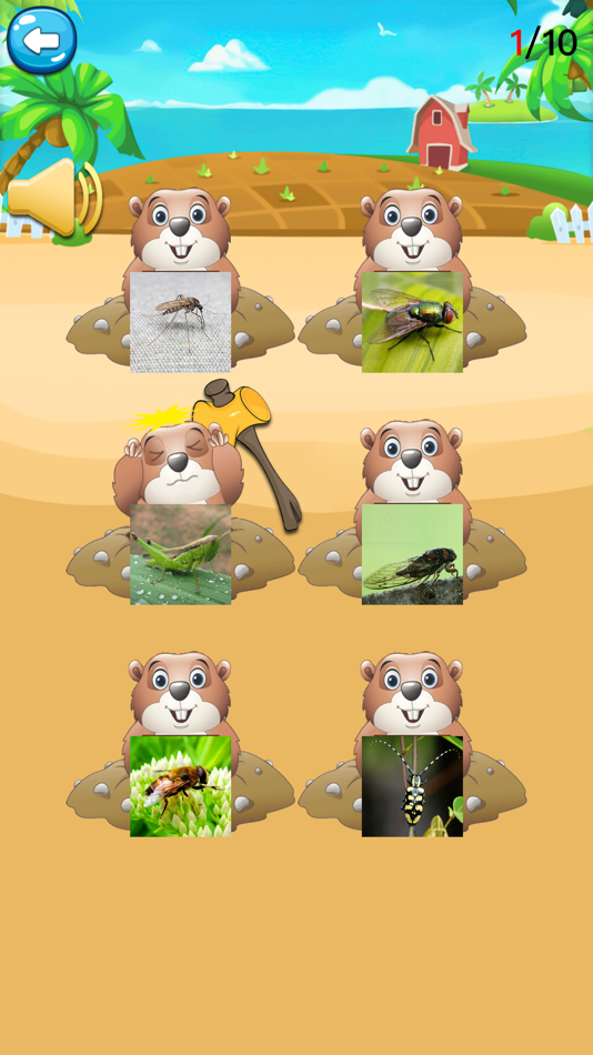 #2. 快乐小鸡下蛋-小猪最爱玩游戏,昆虫世界 (iOS) بواسطة: 震 韩