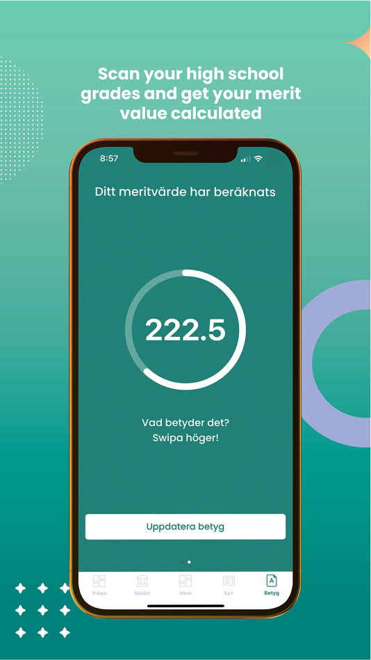 #3. Digital SYV (iOS) 由: Digital SYV Sweden AB