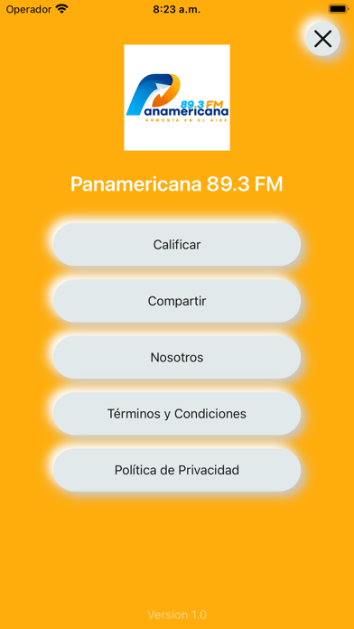 Panamericana 89.3 FM Screenshot