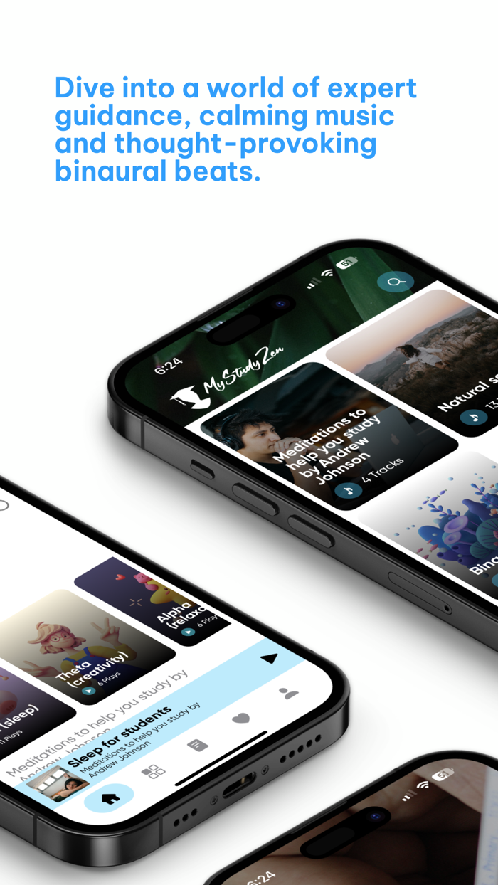 MyStudyZen Student Meditation